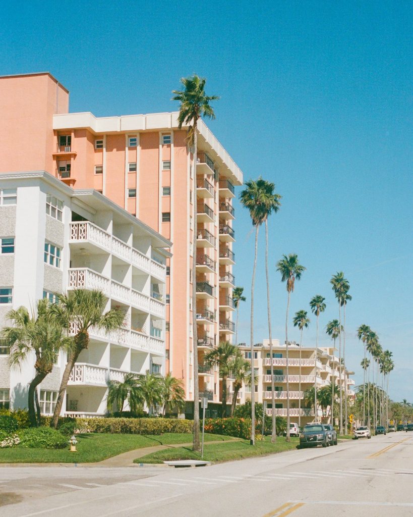 Downtown St Petersburg condos rising above the palm trees